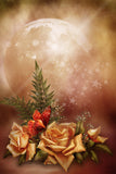 Rose And Moon Fairytale Background For Kids Photography IBD-24615