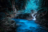 Mountain Forest With Creek Backdrop For Photography IBD-24629