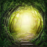 Fairytale forest tree arch photography background