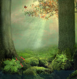 Fairytale Forest Photography Background IBD-24652
