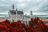 Europe Castle Architecture Background For Photography IBD-246727
