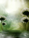 Big White Dandelion Flower Photography Backdrops IBD-246750