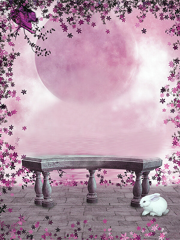 Fairytale Stone Bench Pink Moon Photography Background IBD-246751