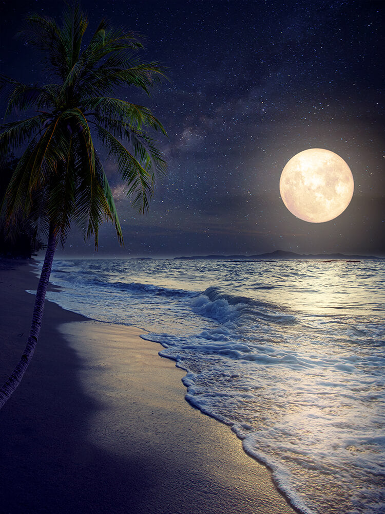 Night of Beach With Full Moon Spray And Coconut Tree IBD-246774