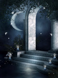 Fairytale Garden Stone Arch Door Baby Backdrops IBD-246775