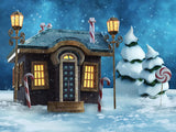 Fairy Tale Stone House Withe Grand Fir Covered By Snow Christmas Backdrop IBD-246781