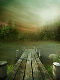 Fantastic Landscape Quiet Wildness Forest Early Morning View Backdrop IBD-246804