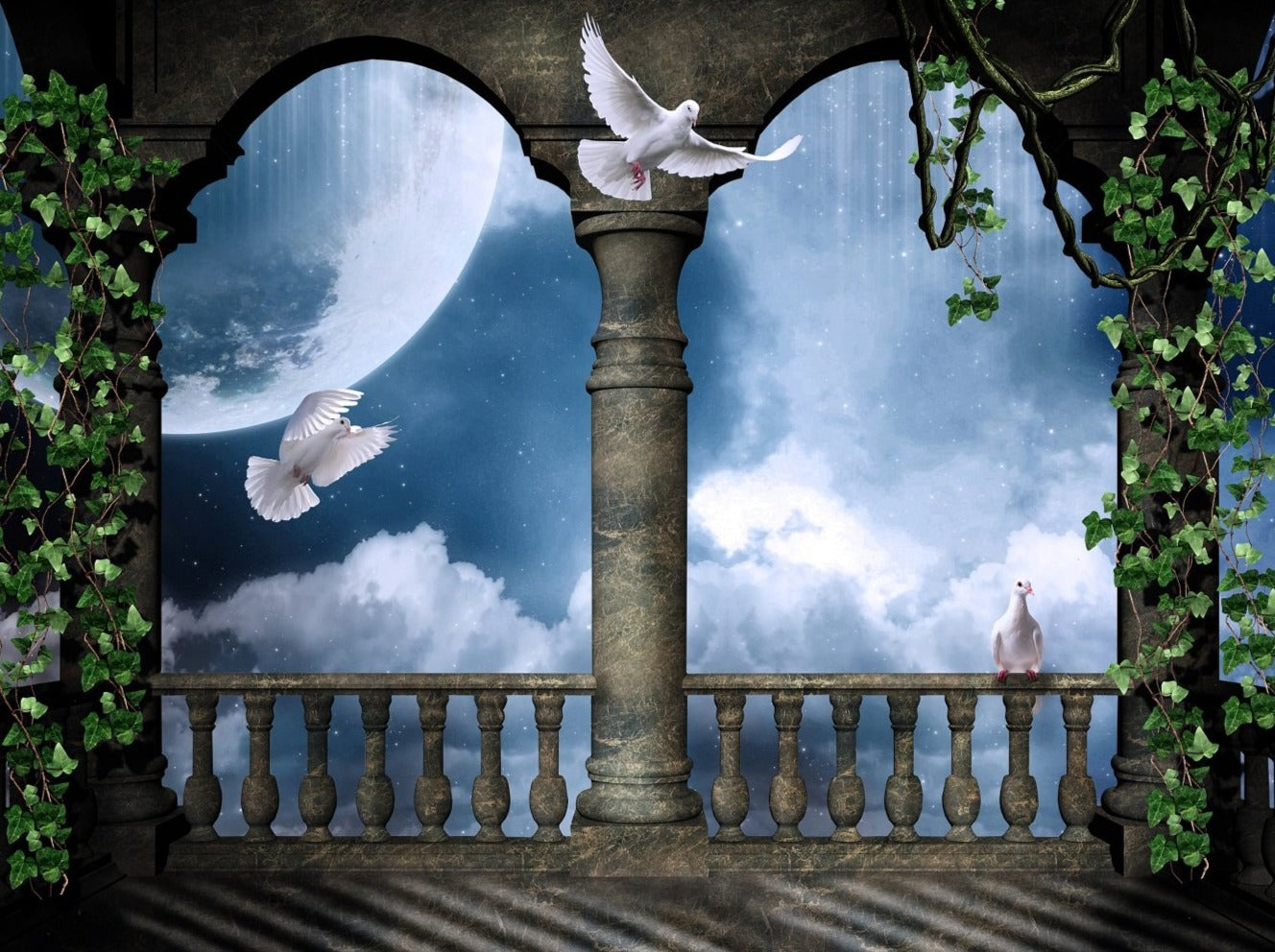 Fairy Tale Castle Balcony Moon Night With Pigeons IBD-246832 – iBACKDROP