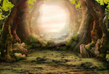 Fairy Tale Forest Arch Cave Backdrop IBD-246843