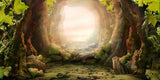 Fairy Tale Forest Arch Cave Backdrop IBD-246843