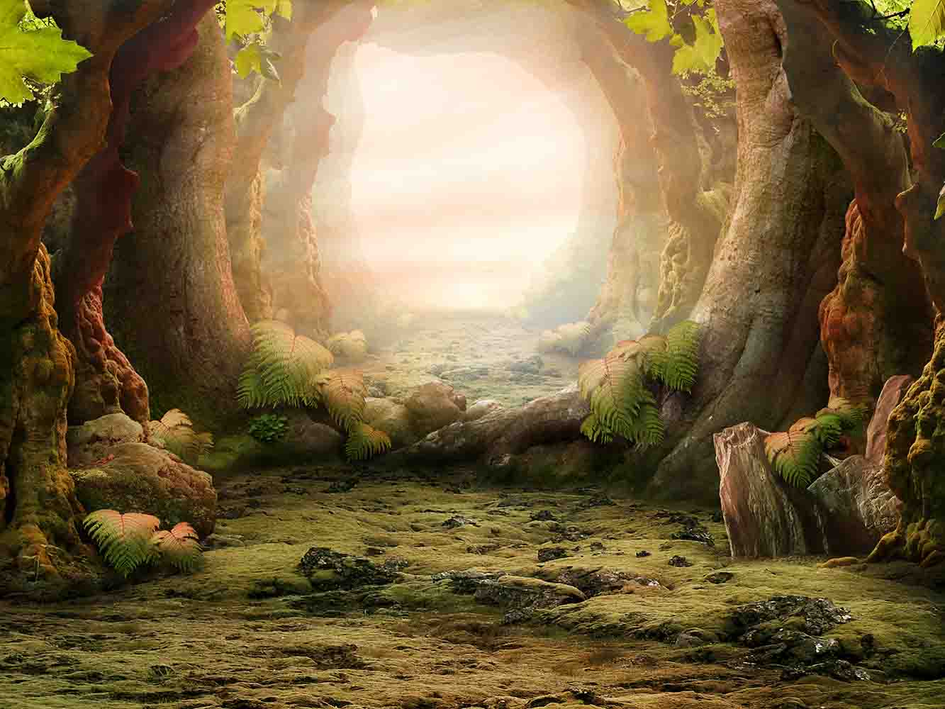 Fairy Tale Forest Arch Cave Backdrop IBD-246843