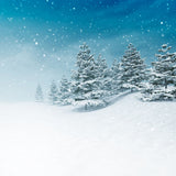 Grand Fir Forest Covered With Snow Backdrop IBD-246850