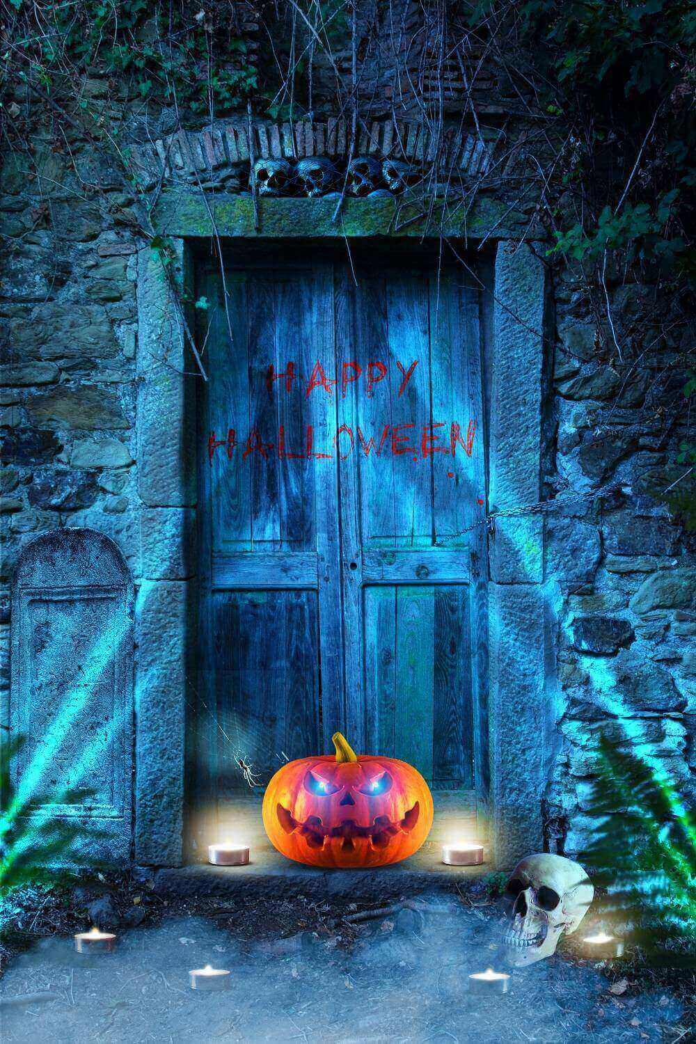 Spooky Stone Door Skull Pumpkin Lantern Halloween Backdrop IBD-246860