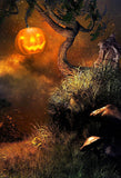 Spooky Wilderness Pumpkin Lantern Halloween Backdrop IBD-246861