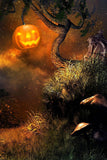 Spooky Wilderness Pumpkin Lantern Halloween Backdrop IBD-246861