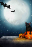 Halloween Black Cat And Pumpkin Lantern Moon Bat Backdrops IBD-246863 size:5'x7'