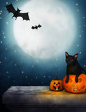 Halloween Black Cat And Pumpkin Lantern Moon Bat Backdrops IBD-246863