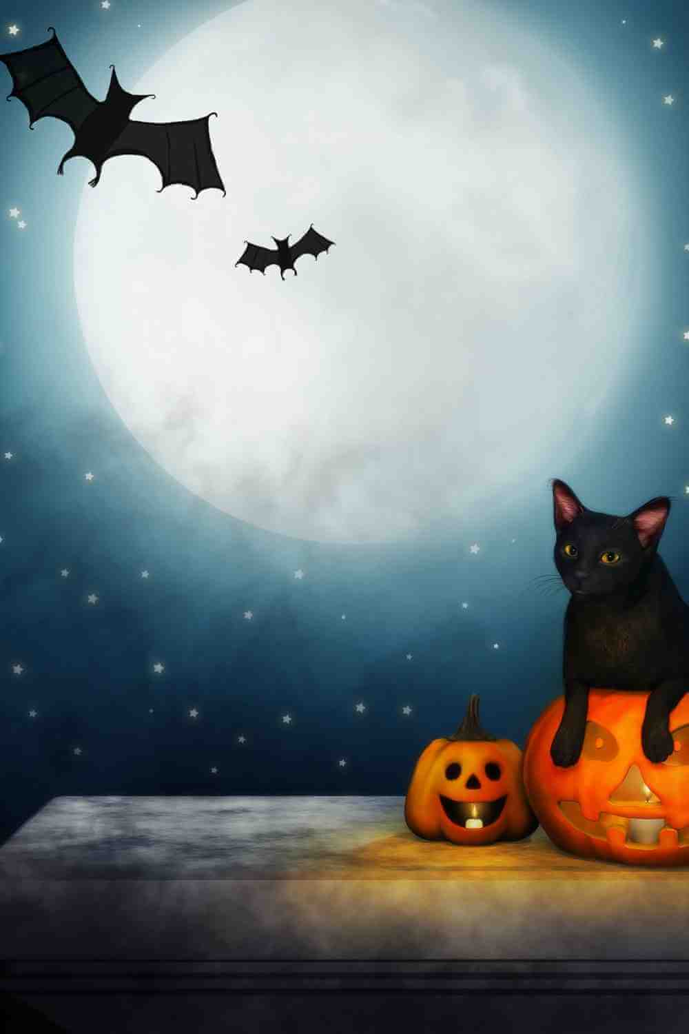 Halloween Black Cat And Pumpkin Lantern Moon Bat Backdrops IBD-246863 size:3'x5'