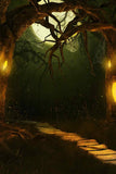 Spooky Halloween Forest Moon Night Backdrop IBD-246868 size:1x1.5