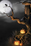 Spooky Halloween Pumpkin Crow Moon Night Backdrop IBD-246869 size:1.5x2.2