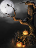 Spooky Halloween Pumpkin Crow Moon Night Backdrop IBD-246869