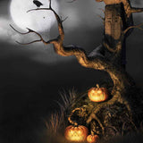 Spooky Halloween Pumpkin Crow Moon Night Backdrop IBD-246869 size:1x1