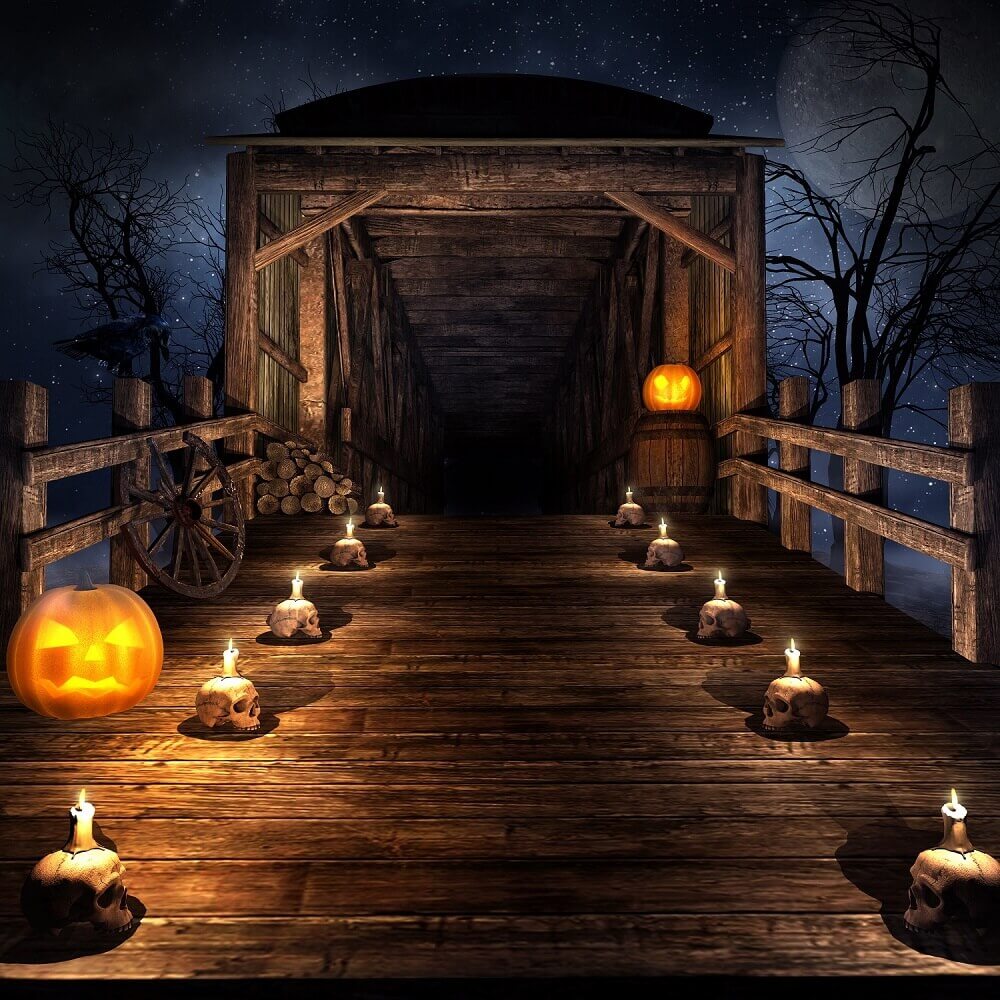 Spooky Halloween Vintage Wood Bridge And Skull Backdrop IBD-246880 size:1x1