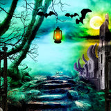 Spooky Halloween Stone Road Wilderness Night Backdrop IBD-246898 size:1x1