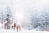 Snow Grand Fir Forest And Deers Backdrop IBD-246903 size:1.5x1