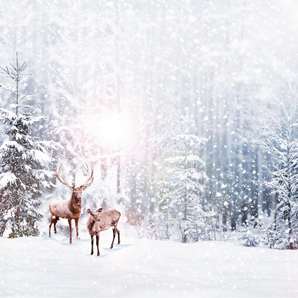 Snow Grand Fir Forest And Deers Backdrop IBD-246903 size:1x1