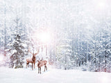 Snow Grand Fir Forest And Deers Backdrop IBD-246903