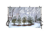 Forest Covered By Snow Landscape Backdrop IBD-246908