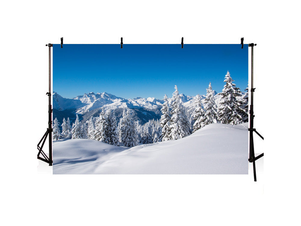 Mountain Grand Fir Forest Covered Snow Landscape Backdrop IBD-246910