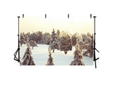 Grand Fir Forest Covered Snow Landscape Backdrop IBD-246911