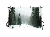 Green Forest Covered By Snow Landscape Backdrop IBD-246914