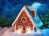 Christmas Gingerbread House With Grand Fir Forest Backdrop IBD-246916 size:2x1.5