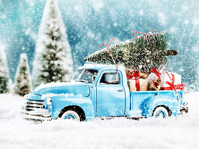 Blue Truck With Christmas Tree Covered Snow Backdrop IBD-246918 size:2x1.5