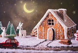 Christmas Gingerbread House With Moon Backdrop IBD-246920 size:2.2x1.5