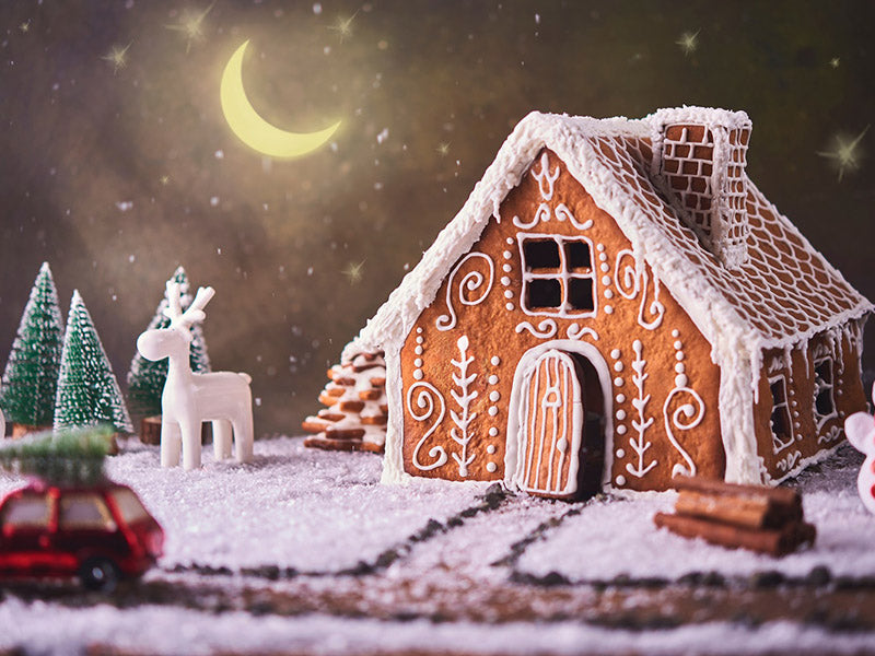 Christmas Gingerbread House With Moon Backdrop IBD-246920 size:2x1.5