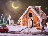 Christmas Gingerbread House With Moon Backdrop IBD-246920 size:2x1.5