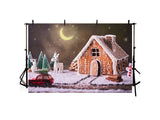Christmas Gingerbread House With Moon Backdrop IBD-246920