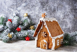 Christmas Gingerbread House Against Abstract Wall Backdrop IBD-246921 size:1.5x1