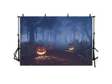 Spooky Halloween Pumpkin And Death Forest Night Backdrop IBD-246925
