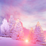 Fairytale Beautiful Dusk Grand Fir Forest Landscape Backdrop IBD-246929 size:1x1