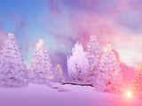 Fairytale Beautiful Dusk Grand Fir Forest Landscape Backdrop IBD-246929