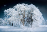 Fairytale Beautiful Frozing White Forest Landscape Backdrop IBD-246930 size:2.2x1.5