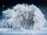 Fairytale Beautiful Frozing White Forest Landscape Backdrop IBD-246930
