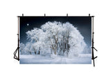 Fairytale Beautiful Frozing White Forest Landscape Backdrop IBD-246930