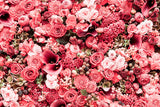 Pretty Pink Rose Flower Photography Backgrounds IBD-246932 size:1.5x1