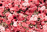 Pretty Pink Rose Flower Photography Backgrounds IBD-246932 size:2.2x1.5